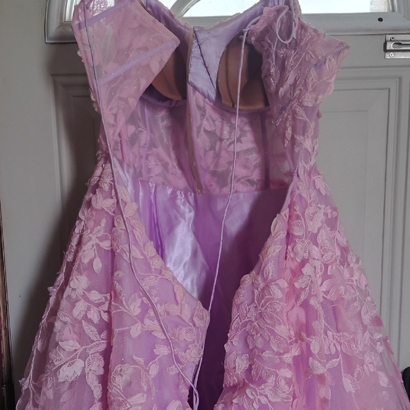 Prom Dress - Picture 7 of 9